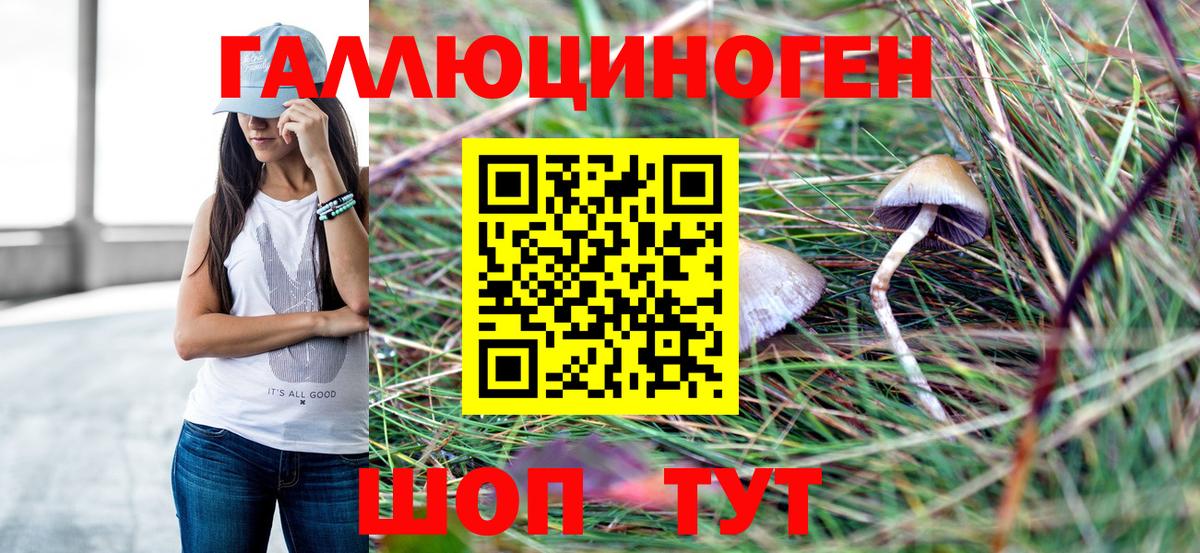 Псилоцибиновые грибы Cubensis  Вход с VPN  Липецк  Псилоцибиновые грибы ЛСД 