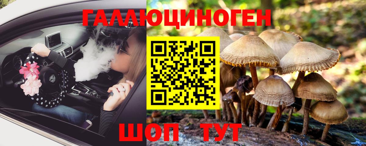 Псилоцибиновые грибы Cubensis  Липецк 